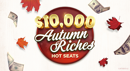 Autumn Riches on Sundays in October