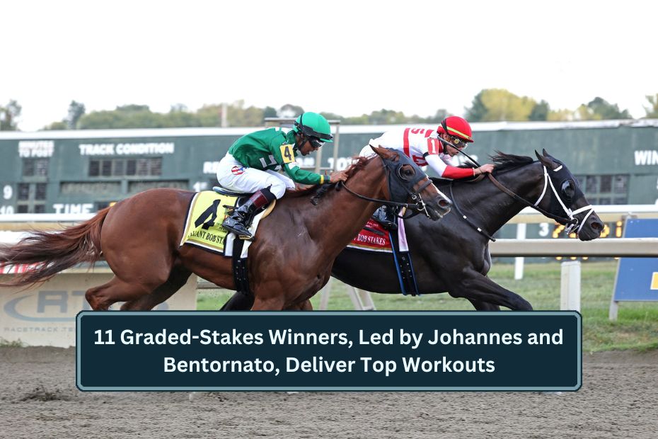 11 Graded-Stakes Winners, Led by Johannes and Bentornato, Deliver Top Workouts