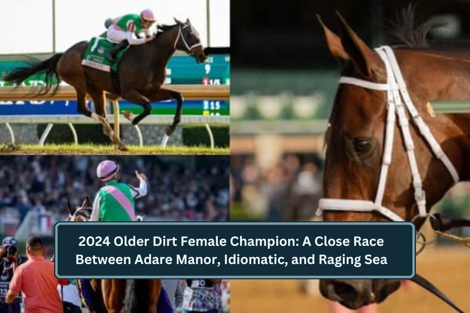 2024 Older Dirt Female Champion: A Close Race Between Adare Manor, Idiomatic, and Raging Sea