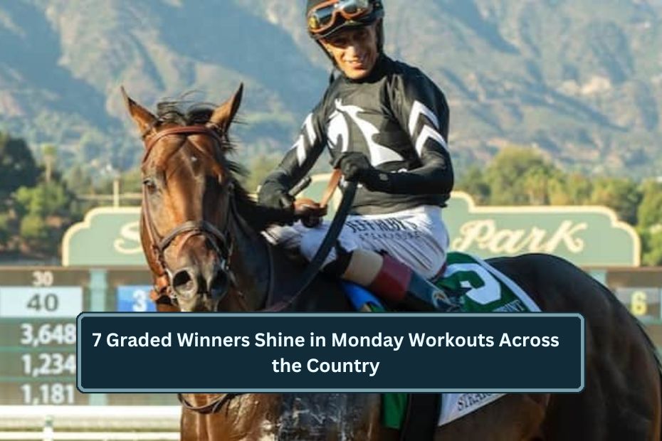 7 Graded Winners Shine in Monday Workouts Across the Country