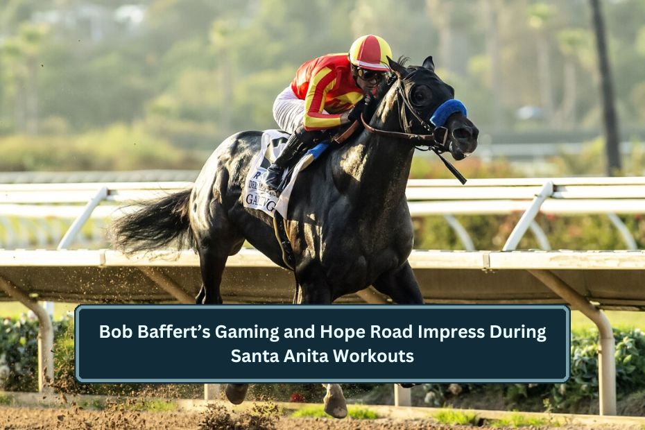 Bob Baffert