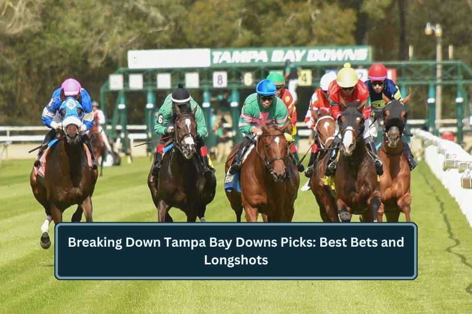 Breaking Down Tampa Bay Downs Picks: Best Bets and Longshots