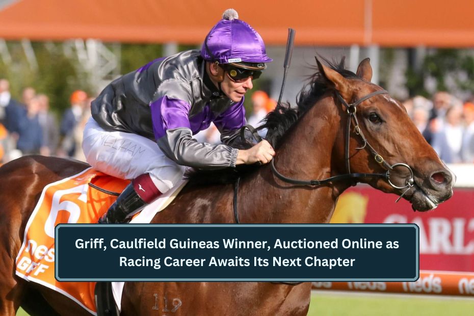 Caulfield Guineas Winner