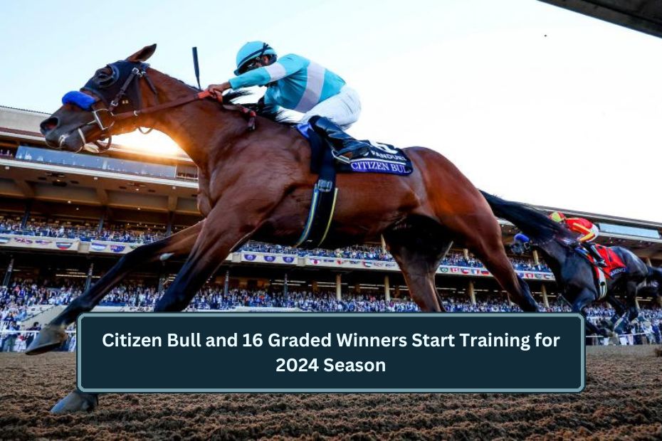 Citizen Bull and 16 Graded Winners Start Training for 2024 Season