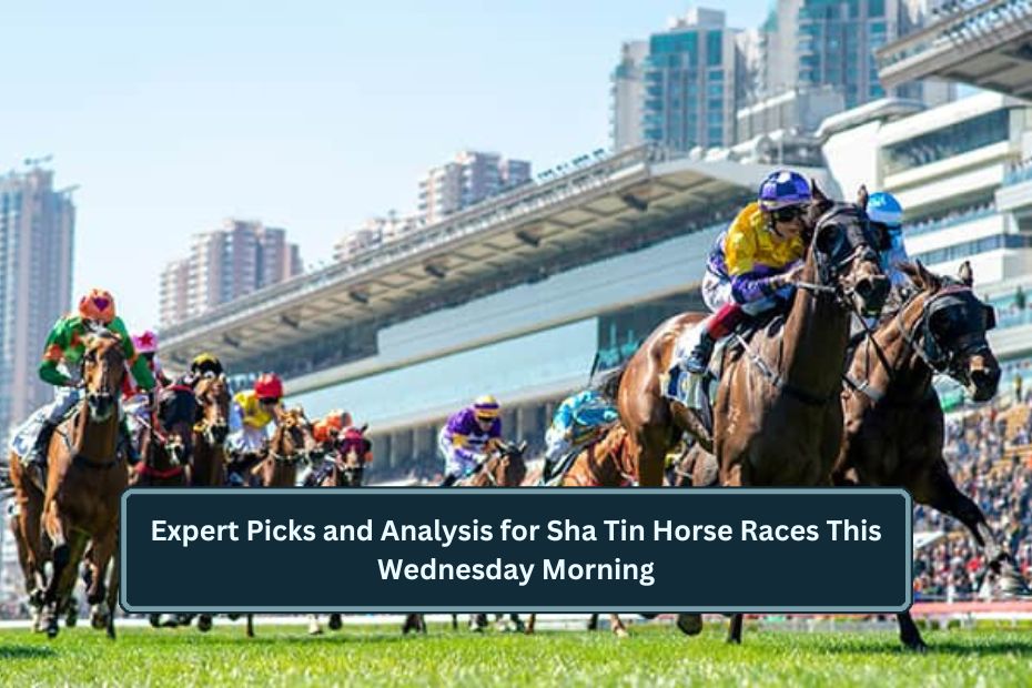 Expert Picks and Analysis for Sha Tin Horse Races This Wednesday Morning