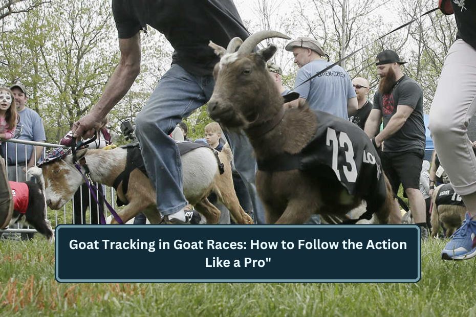 Goat Tracking in Goat Races