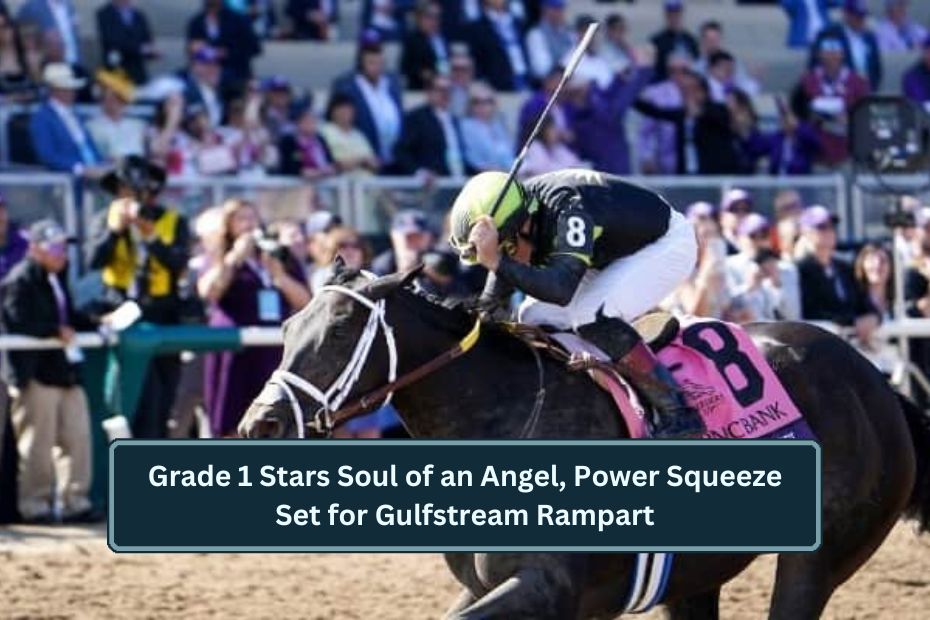 Grade 1 Stars Soul of an Angel, Power Squeeze Set for Gulfstream Rampart