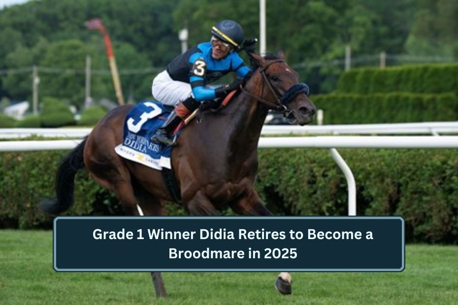 Grade 1 Winner Didia Retires to Become a Broodmare in 2025