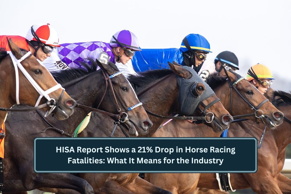 HISA Report Shows a 21% Drop in Horse Racing Fatalities: What It Means for the Industry