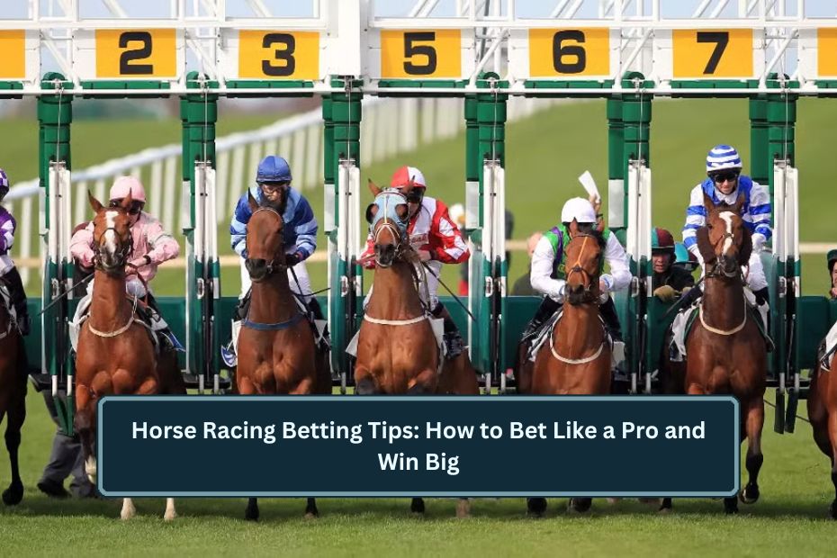 Horse Racing Betting Tips