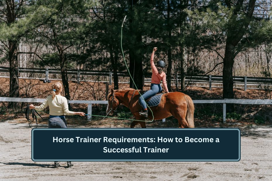 Horse Trainer