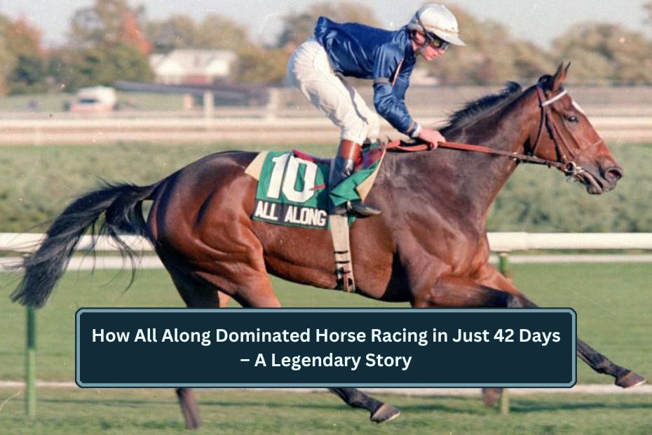 How All Along Dominated Horse Racing in Just 42 Days – A Legendary Story