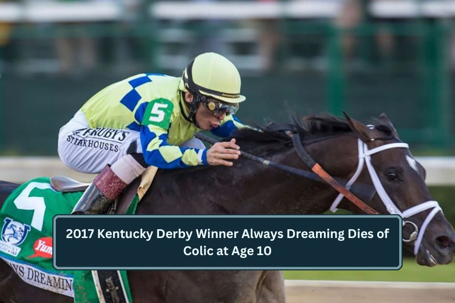 Kentucky Derby Winner