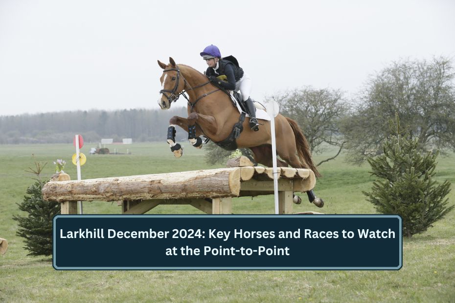 Larkhill December 2024