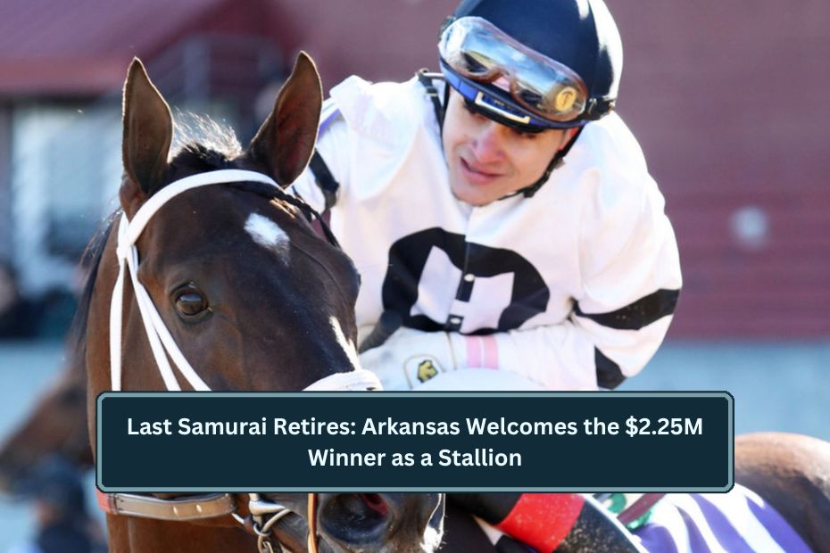 Last Samurai Retires: Arkansas Welcomes the $2.25M Winner as a Stallion