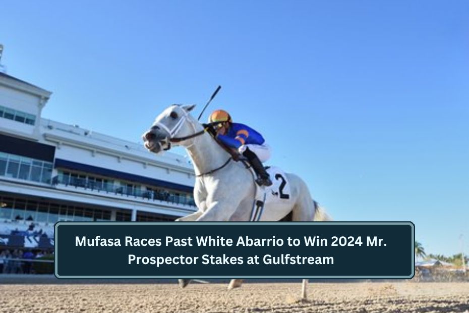 Mufasa Races Past White Abarrio to Win 2024 Mr. Prospector Stakes at Gulfstream