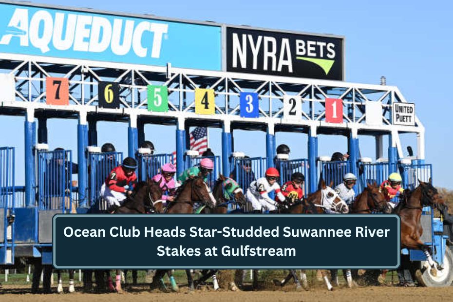 Ocean Club Heads Star-Studded Suwannee River Stakes at Gulfstream