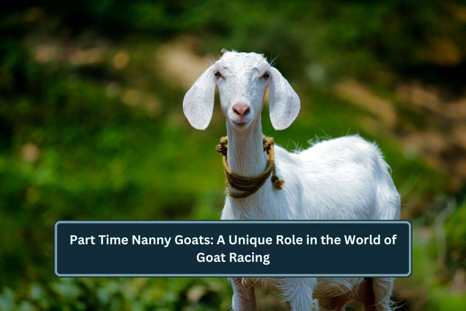 Part Time Nanny Goats