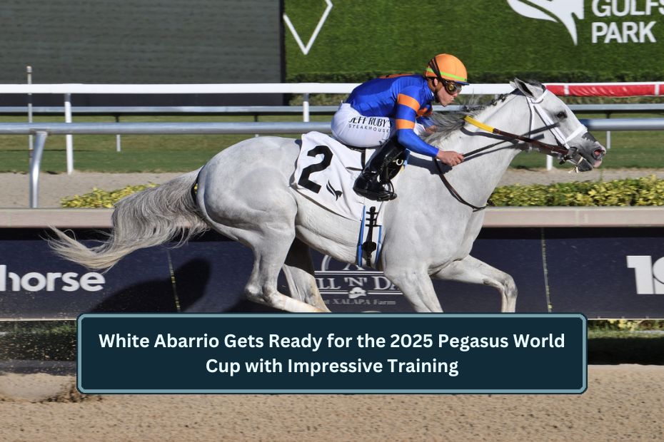 Pegasus World Cup