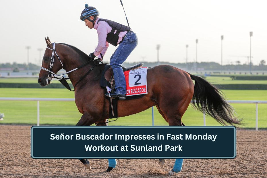 Señor Buscador Impresses in Fast Monday Workout at Sunland Park