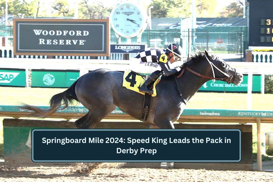 Springboard Mile