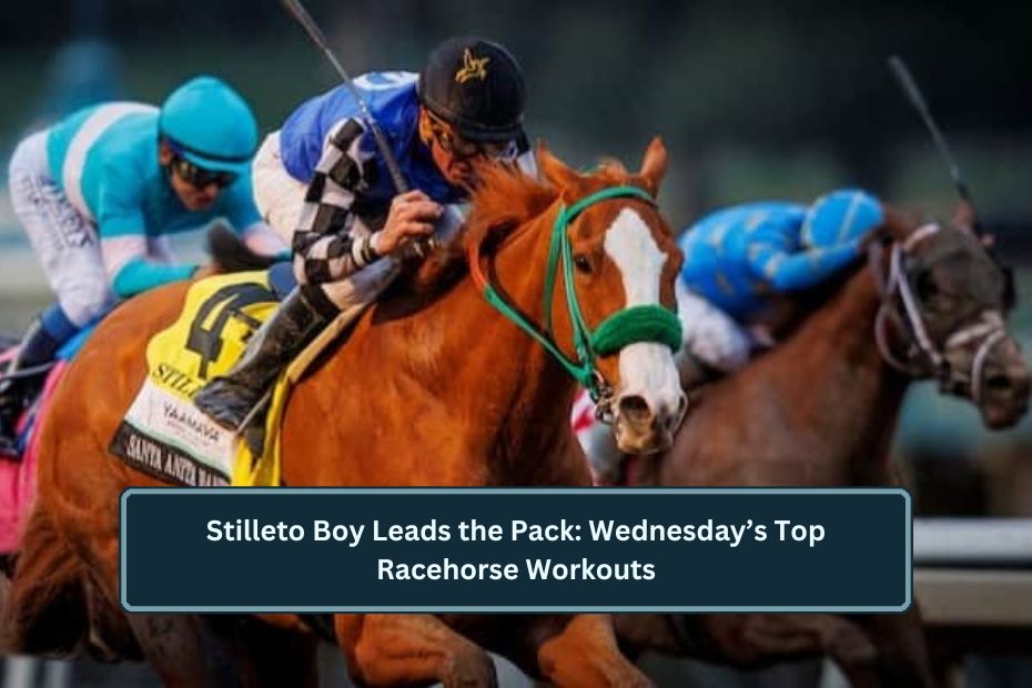 Stilleto Boy Leads the Pack: Wednesday’s Top Racehorse Workouts