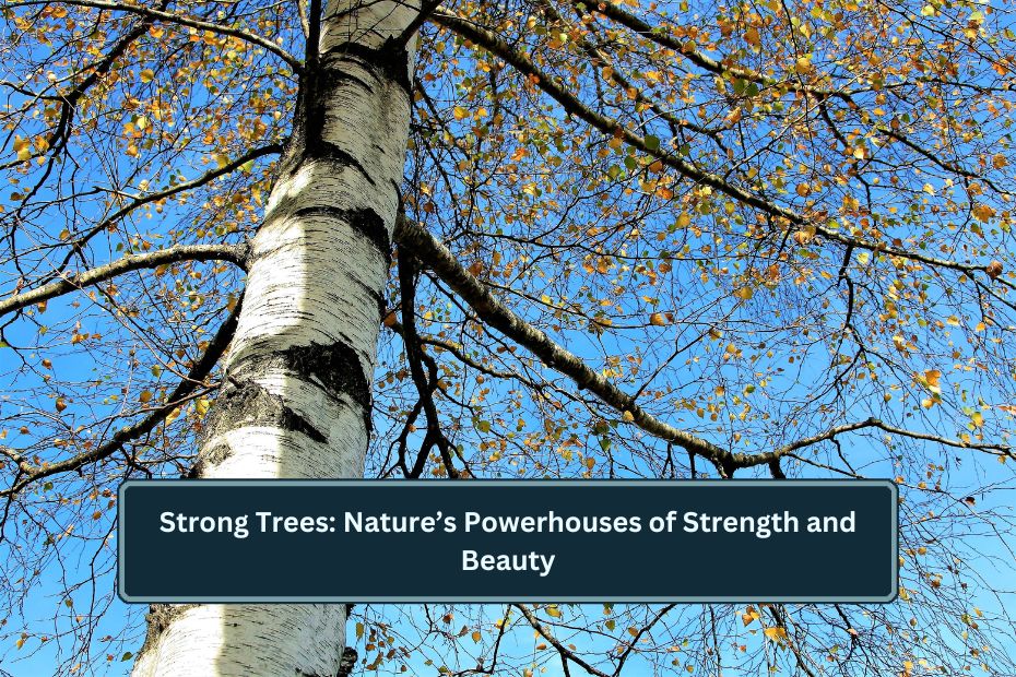 Strong Trees