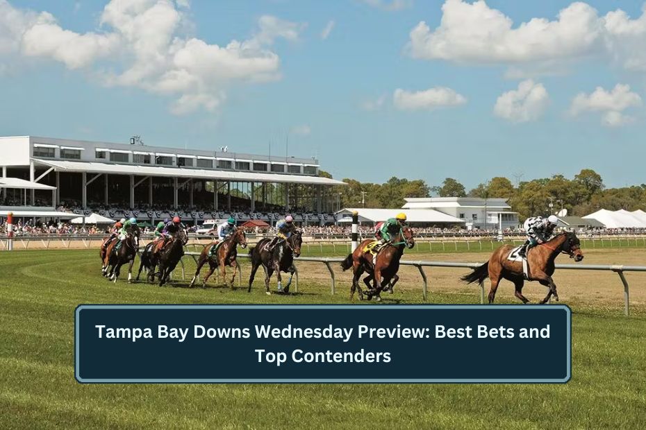 Tampa Bay Downs