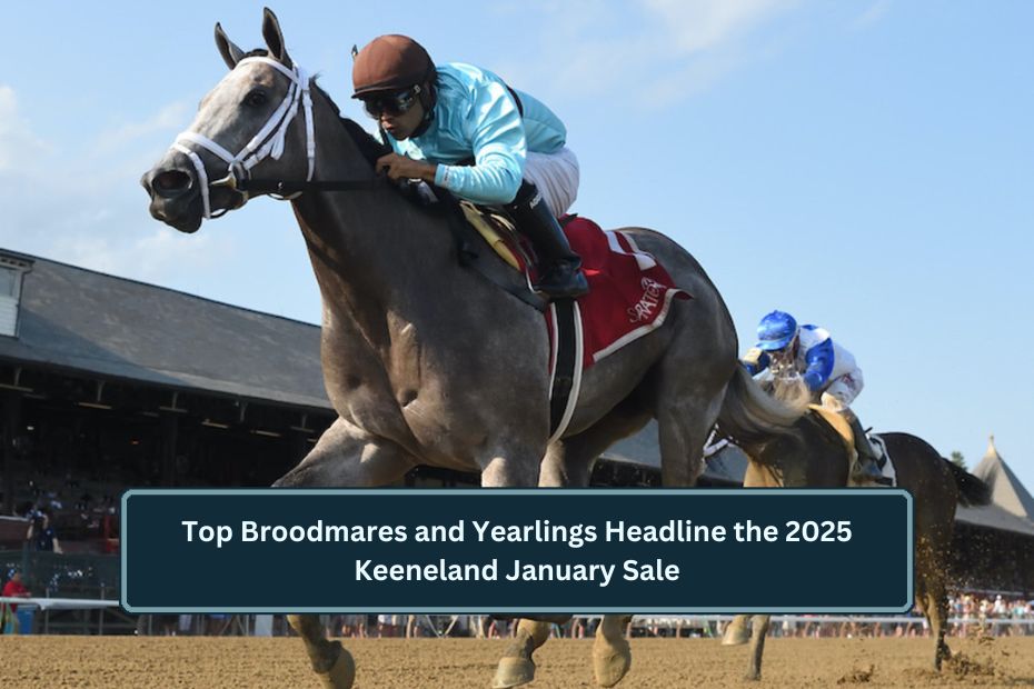 Top Broodmares and Yearlings Headline the 2025 Keeneland January Sale