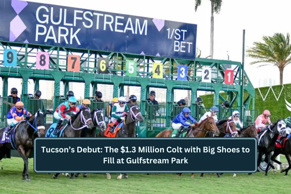 Tucson’s Debut: The $1.3 Million Colt with Big Shoes to Fill at Gulfstream Park