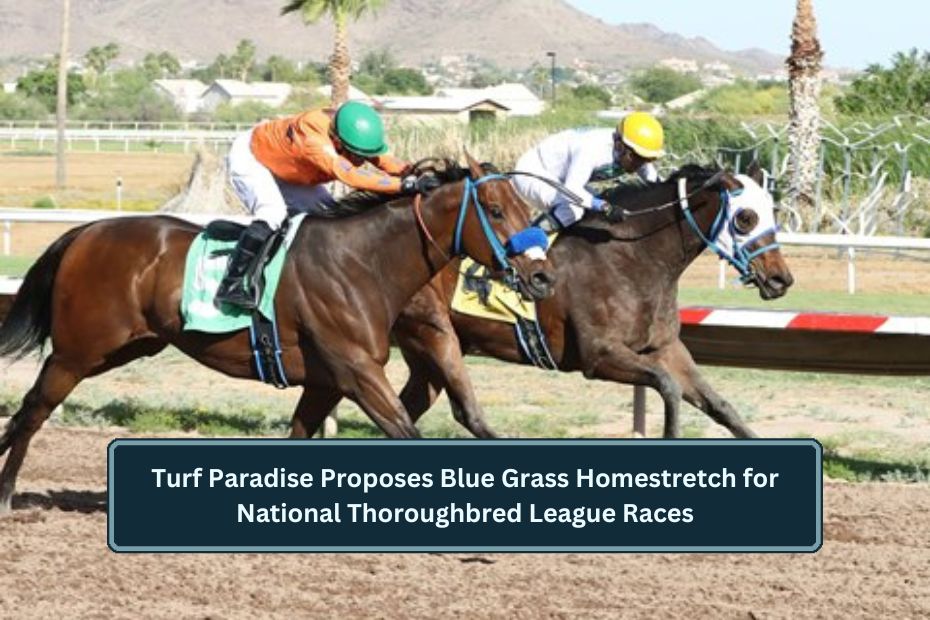 Turf Paradise Proposes Blue Grass Homestretch for National Thoroughbred League Races