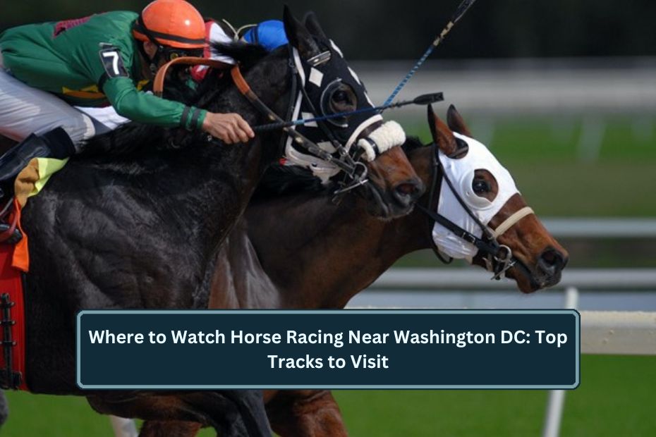 Watch Horse Racing