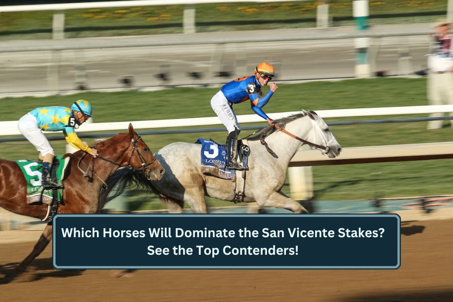 Which Horses Will Dominate the San Vicente Stakes? See the Top Contenders!