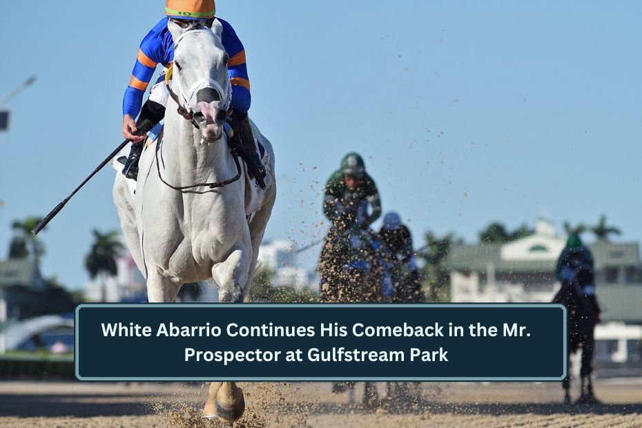 White Abarrio Continues His Comeback in the Mr. Prospector at Gulfstream Park