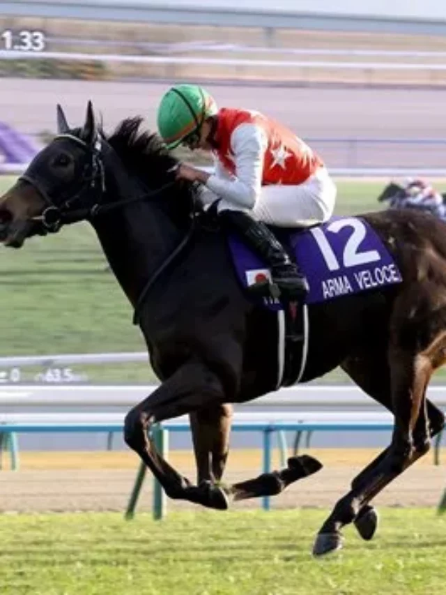 Arma Veloce Triumphs in Hanshin Juvenile Fillies, Secures Championship Title