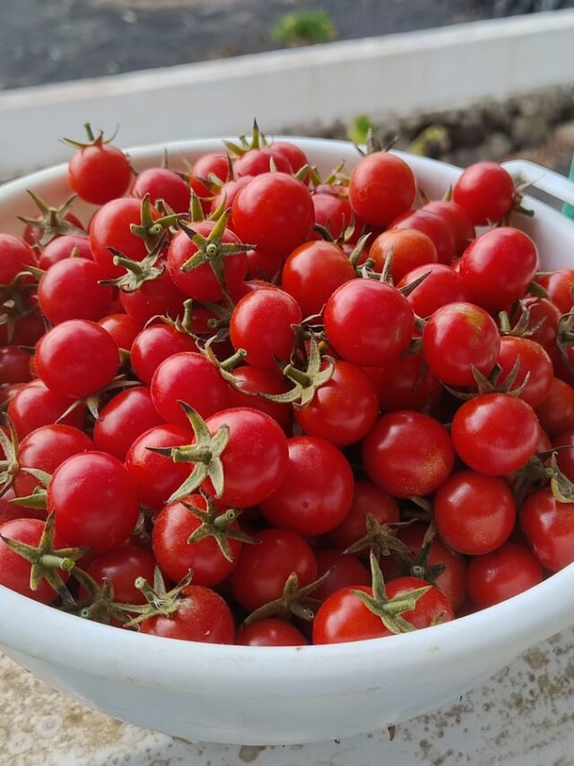 15 Surprising Benefits of Cherry Tomatoes: Nature’s Vascular Cleanser