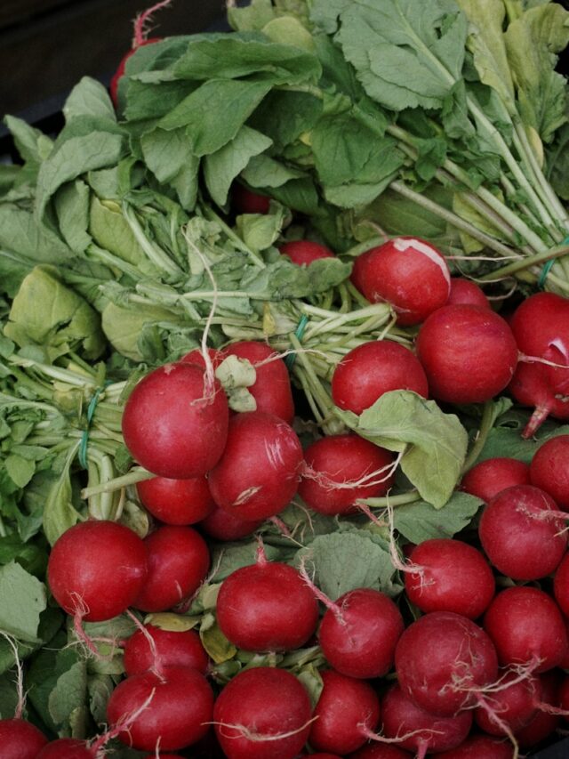 9 Reasons You Should Eat More Radishes