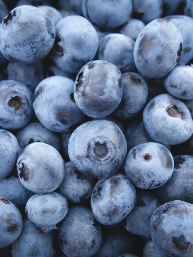 A Blueberry Breeder Reveals 11 Mistakes Everyone Makes When Buying Blueberries