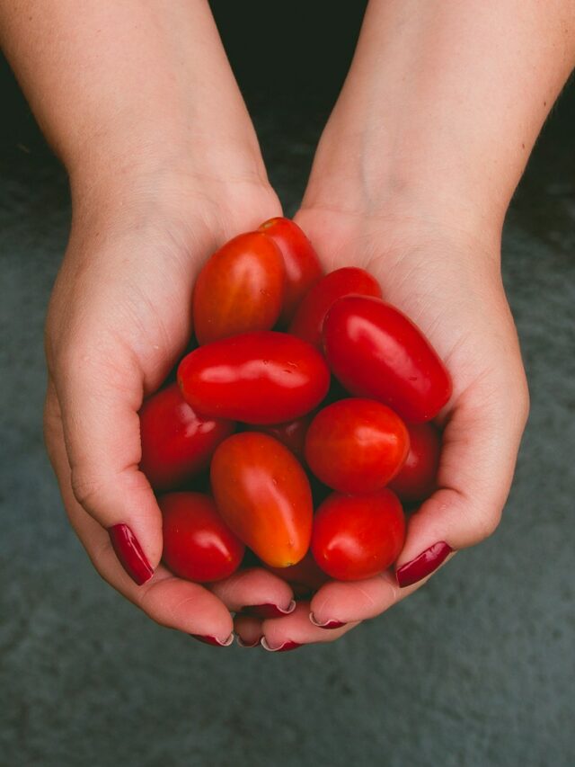 10 Types of Tomatoes and How to Cook with Them