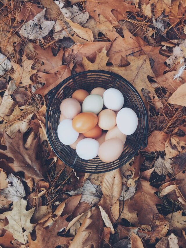 What's the Difference Between Brown and White Eggs—and Which One Is Healthier?