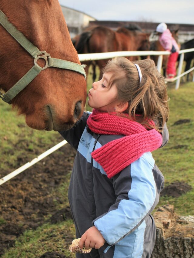 8 Common Struggles of Owning a Horse That You Can’t Ignore