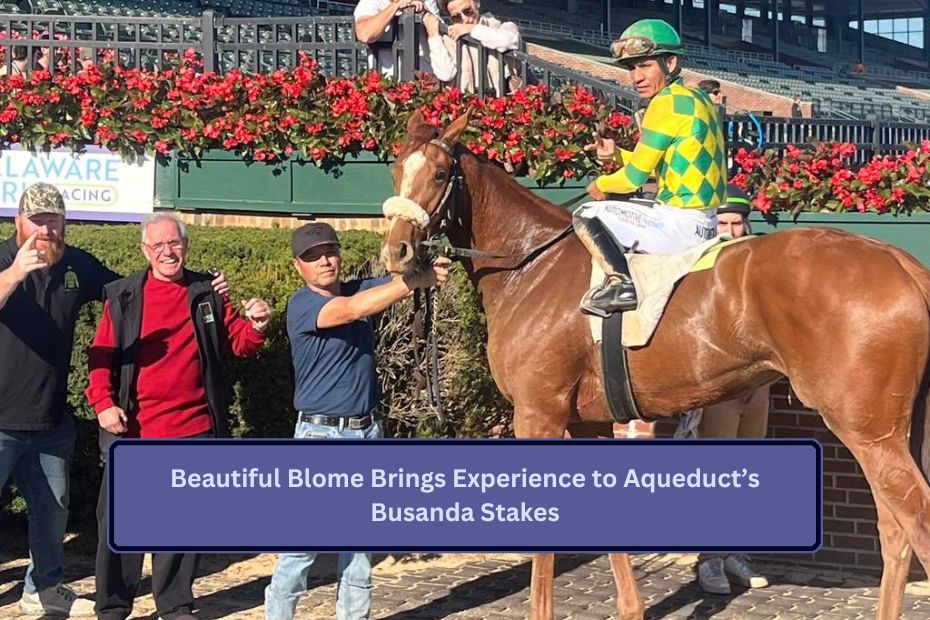 Beautiful Blome Brings Experience to Aqueduct’s Busanda Stakes