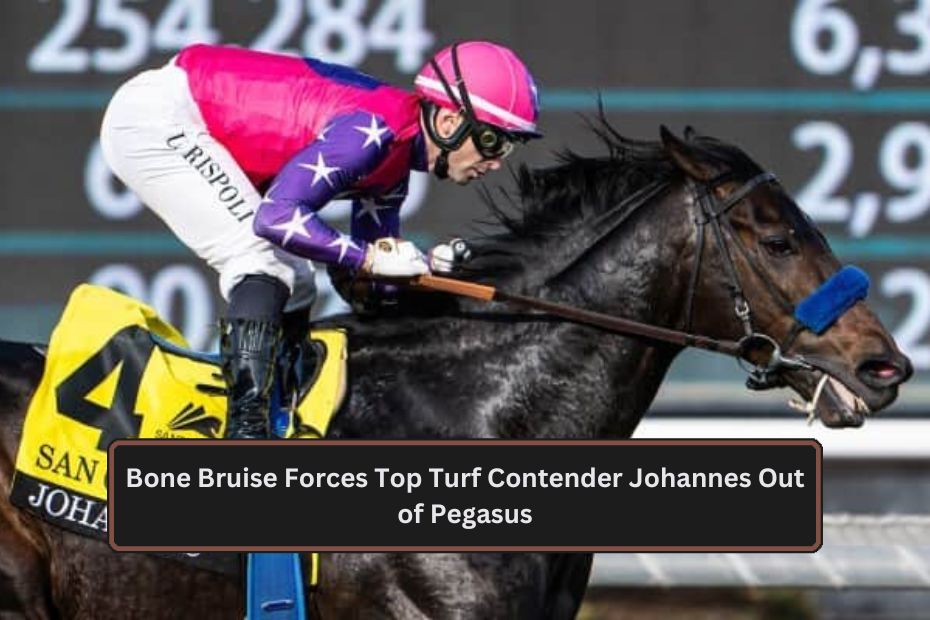 Bone Bruise Forces Top Turf Contender Johannes Out of Pegasus