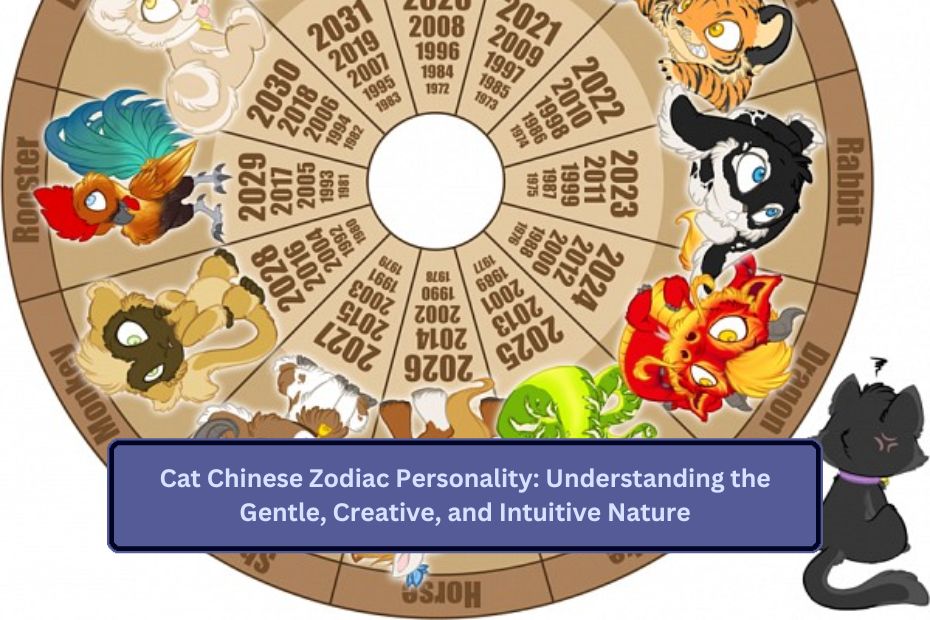 Cat Chinese Zodiac Personality