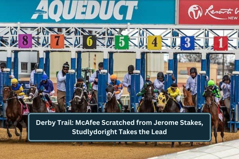 Derby Trail: McAfee Scratched from Jerome Stakes, Studlydoright Takes the Lead