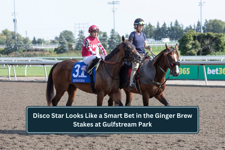 Disco Star Looks Like a Smart Bet in the Ginger Brew Stakes at Gulfstream Park