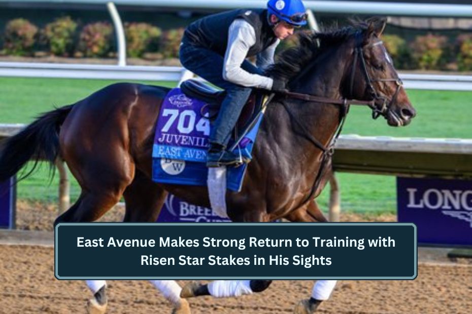 East Avenue Makes Strong Return to Training with Risen Star Stakes in His Sights