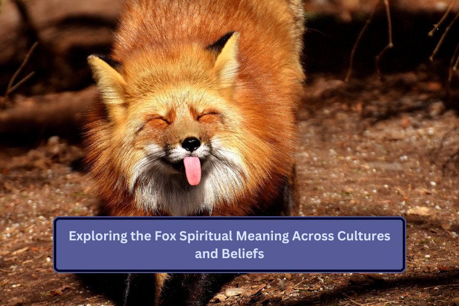 Exploring the Fox Spiritual Meaning Across Cultures and Beliefs