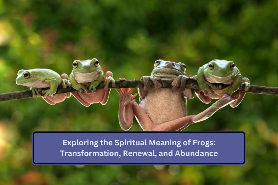 Exploring the Spiritual Meaning of Frogs: Transformation, Renewal, and Abundance