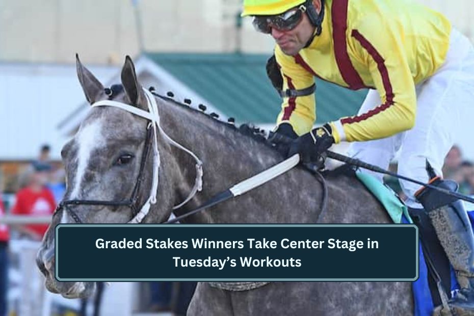 Graded Stakes Winners Take Center Stage in Tuesday’s Workouts